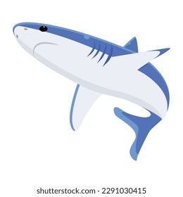 An eye catchy flat vector of elasmobranch fish