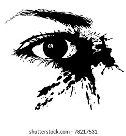 Eye close up on the isolated white background