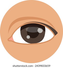 Eye color icon. Vision symbol. Facial part
