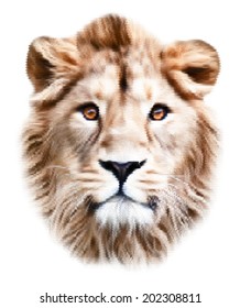 Eye contact with an amazing Asian lion, isolated on white background. The King of beasts, biggest cat of the world, looking straight into the camera. Unusual vector dotted image with high resolution.