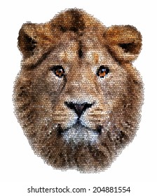 Eye contact with an amazing Asian lion, isolated on white background. The King of beasts, the biggest and mightiest cat of the world, looking straight into the camera. Vector image in mosaic style.