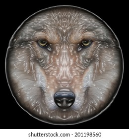 Eye contact with a severe wolf female on round plastic mask. Menacing expression of the european wolf, very beautiful animal and extremely dangerous beast. Amazing vector image with the polish shine.