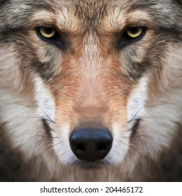 Eye contact with a severe wolf female. Menacing expression of the european wolf, very beautiful animal and dangerous beast. Amazing vector image in oil painting style. Awful charm of the wild beauty.