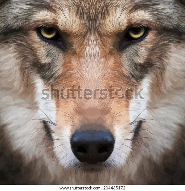 重いオオカミの女性との目の接触 ヨーロッパのオオカミの脅迫的な表情 とても美しい動物で 危険な獣 油彩画の見事なベクター画像 野性の美しさの恐ろしい魅力 のベクター画像素材 ロイヤリティフリー