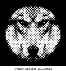 Eye contact with a terrible wolf through the lens. Menacing expression of the canis lupus, the most dangerous beast of the canids. Amazing black and white vector image. Horror of the forest owner, 