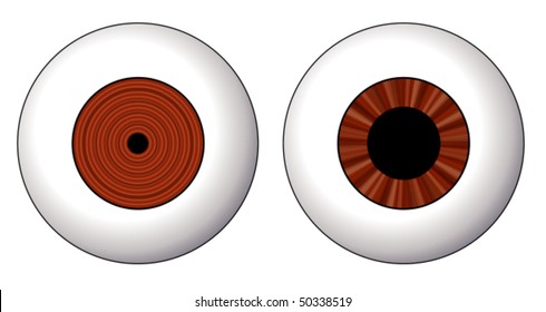 Eye, contraction of the iris