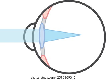 Eye crystal structure myopia eyeball structure icon