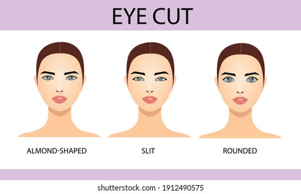 Eye cut, information for eyelash extension, infographics, vector illustration