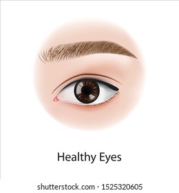 Eye diseases , problem vector illustration