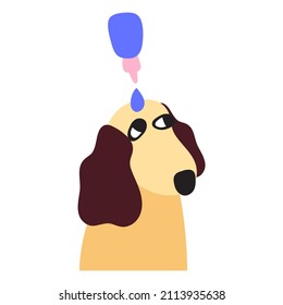Colirio para perro. Ilustración vectorial sobre fondo blanco.