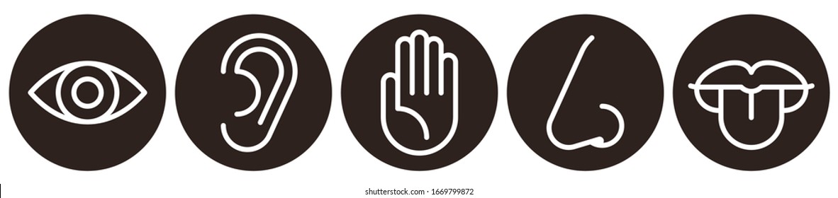 Eye, ear, lips, nose and hand - five senses of human nervous system. Sensory organs icon set isolated on white background