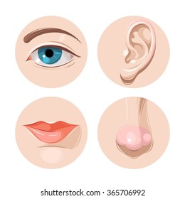 Eye, ear, mouth and nose