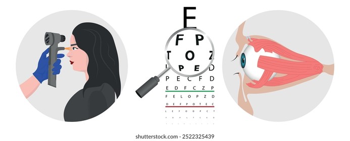 Eye examination and eye testing. Ophthalmology. Eye anatomy