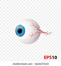 Eye. Eyeball. Human internal vision organ realistic illustration isolated against transparent background. Design element for Health care,medicine,anatomy education