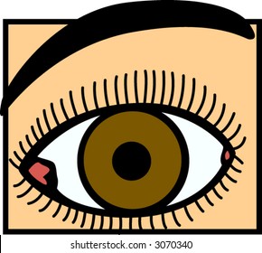 eye and eyebrow