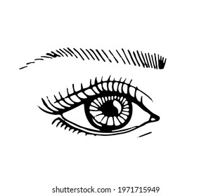 eye, eyebrow, eyelashes, vector, drawn by pen