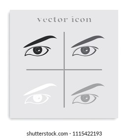 Eye with eyebrow flat black and white vector icon.