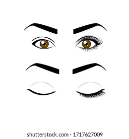 Eye with eyelash extensions and without eyelashes. Eyelash Extension Guide. Infographics vector illustration.