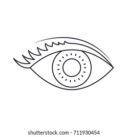 eye with eyelashes in monochrome silhouette vector illustration