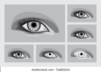 Eye with eyelashes. Realistic image in black, gray and white colors. Different options for a patch of light. The idea for the manual, icons, avatars, for an advert, poster or banner. Vector EPS8.