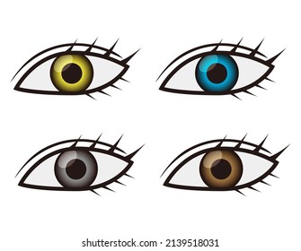 Auge. Augenbrauen. Vektorgrafik.