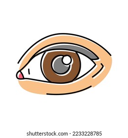 eye face color icon vector. eye face sign. isolated symbol illustration