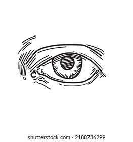 4,373 Line Drawing Of Eyeball Images, Stock Photos & Vectors | Shutterstock