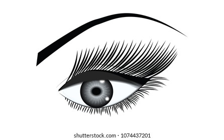 Eye female, one, close-up - isolated, black on white background - art vector. Design Element