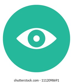 Eye Flat Colored Icon