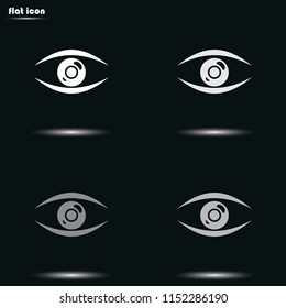 Eye flat grayscale vector icon.