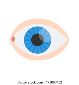 eye flat icon. eye with blue iris