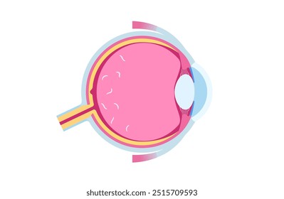 Flutuadores oculares ou cartaz de muscae volitantes. Conceito de miodesopsia, exame oftalmológico. Humor vítreo, gel no olho. Fibras de colágeno no olho. Pupila, ilustração do vetor da mácula da retina