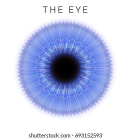 The eye. Futuristic illustration for scientific, IT security presentation.