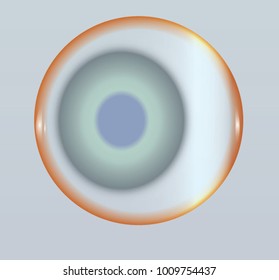 Eye with grey and white iris and blind pupil. Human health illustration. Closeup human eye drawing. Eyeball on bright background. 