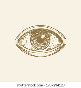 Eye hand drawn, engraving. Vision of Providence. Luxurious, vintage, religion, spirituality, occultism, tattoo art, tarot, yoga. Isolated vector illustration 