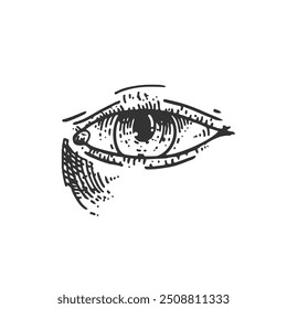 Eye hand drawn vintage engraving style vector illustration.