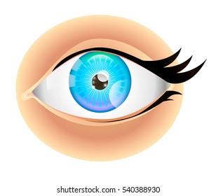 eye Health