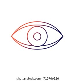 eye human anaomy to optical graphic