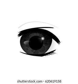 Eye. Human eyes closeup. Beautiful big eyes. Vector illustration