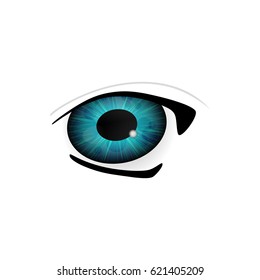 Eye. Human eyes closeup. Beautiful big eyes. Vector illustration