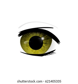 Eye. Human eyes closeup. Beautiful big eyes. Vector illustration