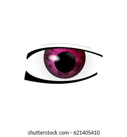 Eye. Human eyes closeup. Beautiful big eyes. Vector illustration