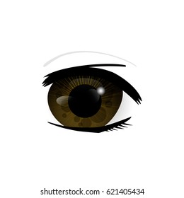 Eye. Human eyes closeup. Beautiful big eyes. Vector illustration