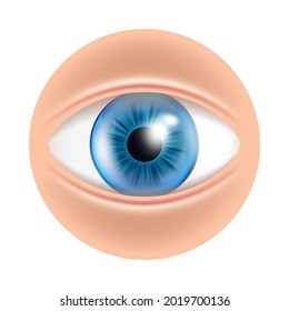 Eye Human Facial Organ With Contact Lenses Vector. Eye Blue Optical Medical Accessory For Correct Vision. Anatomy Eyeball Cosmetic Tool For Eyesight Template Realistic 3d Illustration