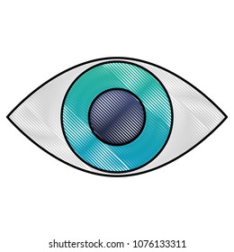 eye human isolated icon