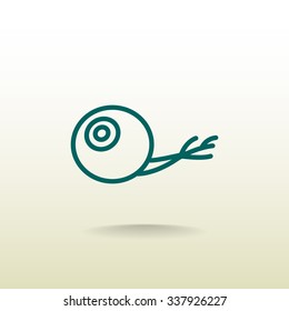 Eye icon