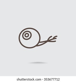 Eye icon