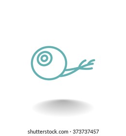 Eye icon