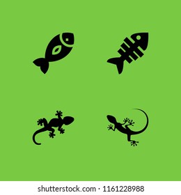 eye icon. 4 eye set with fish and gecko vector icons for web and mobile app