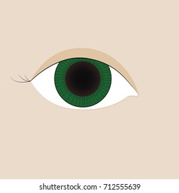 Eye icon design,Vector illustration flat design